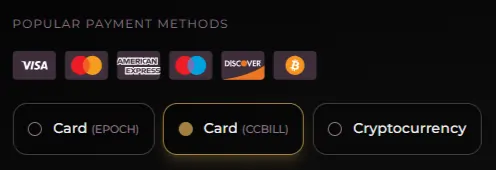 Seduced AI - Payment Method