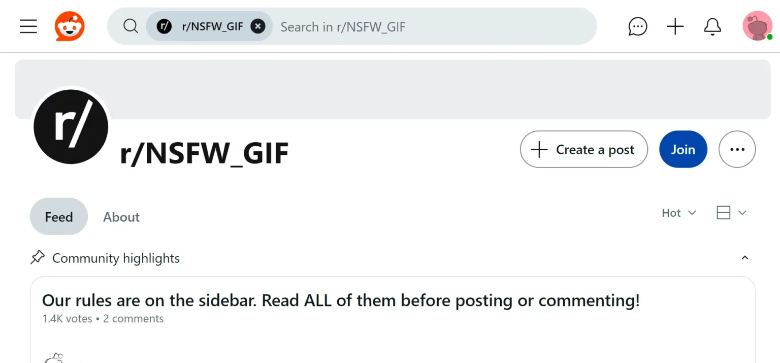 NSFW Subreddit rNSFW GIF