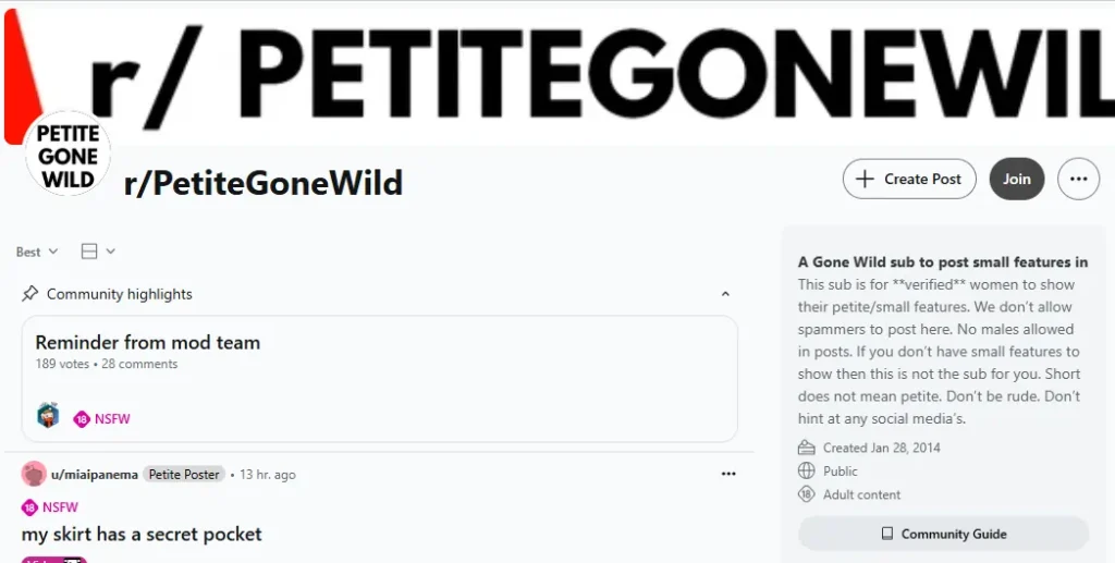 NSFWSubreddit PetiteGoneWild