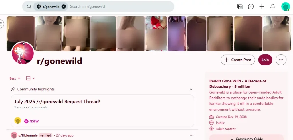 NSFWSubreddit gonewild