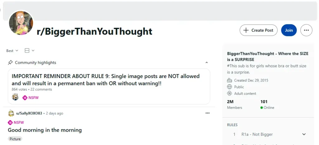 NSFWSubreddit rBiggerThanYouThought