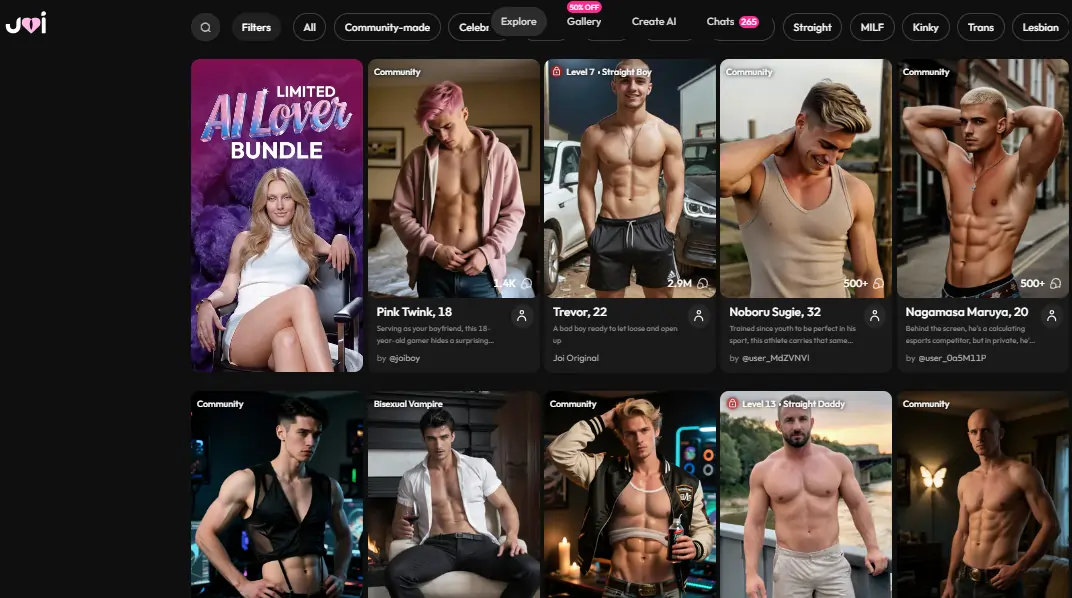 Joi AI - AI Gay Chatbot